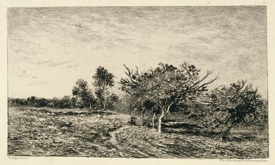 Appelbomen in Auvers, 1877 door Charles Francois Daubigny